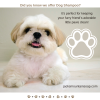 Dog Shampoo